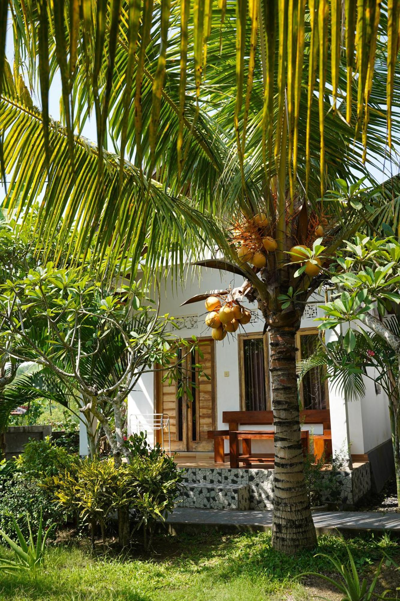 Wahyu Masari Homestay Sakti Buitenkant foto